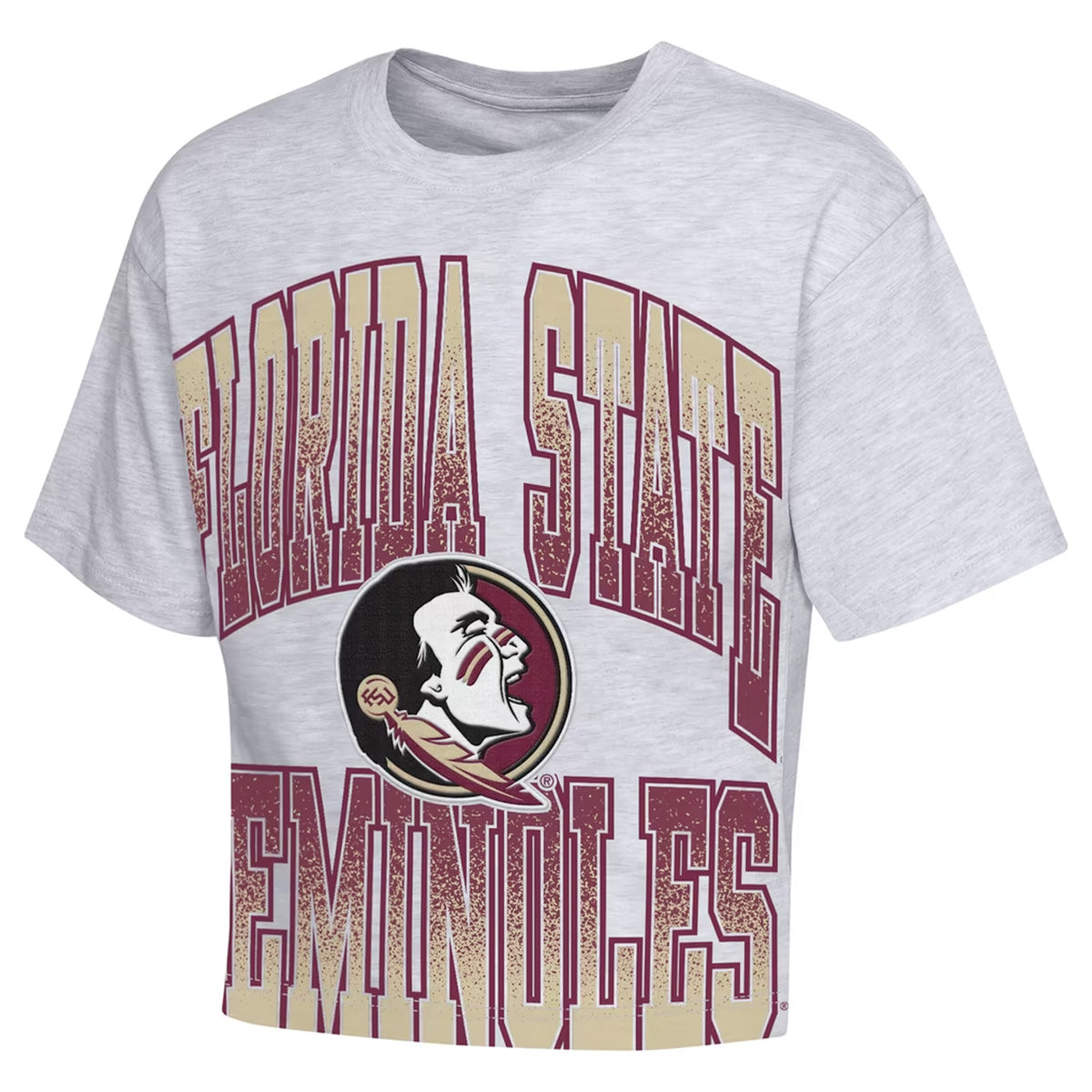 Outerstuff Youth Girl's Florida State Seminoles/Seminole Logo Short Sleeve Boxy T-shirt - Ash