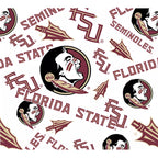 Tervis Florida State Seminoles Multi-Logo 24oz Insulated Water Bottle