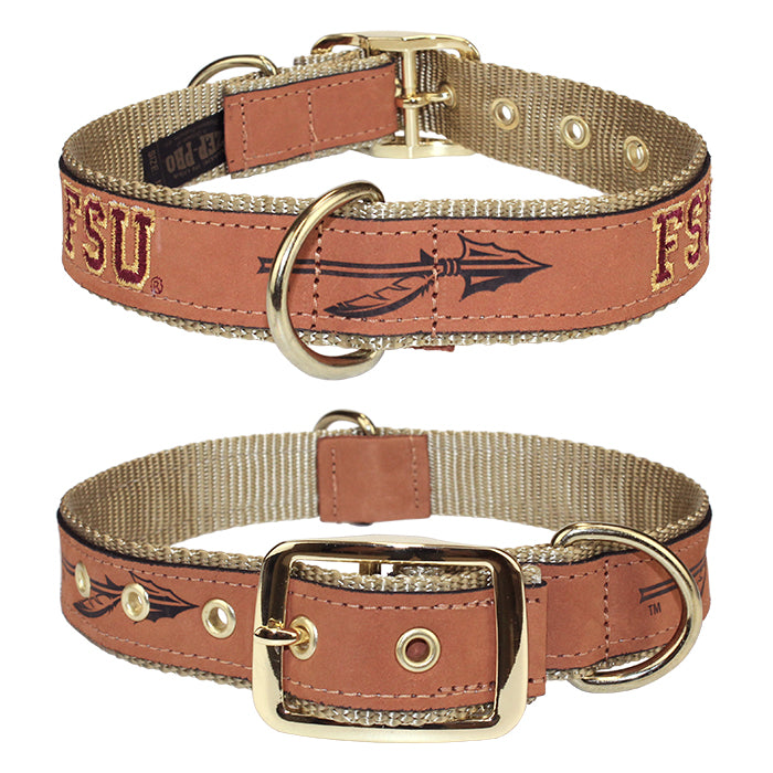 Nylon and Leather Dog Collar with FSU and Spear Design